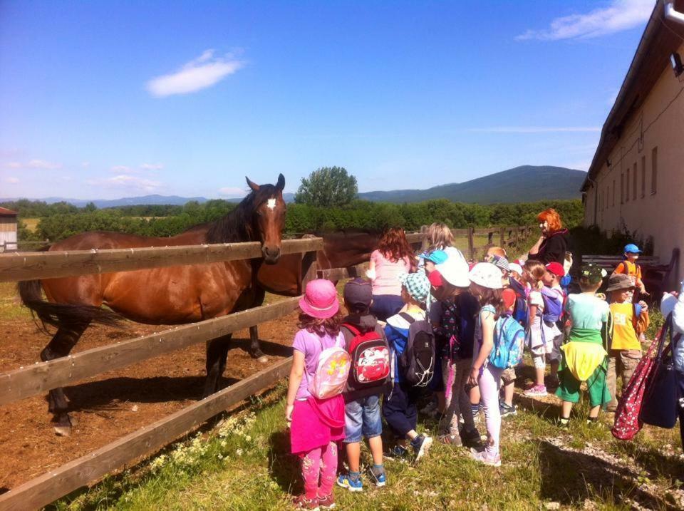 Bio Farma & Penzion Zlaty Hyl Novacany Экстерьер фото