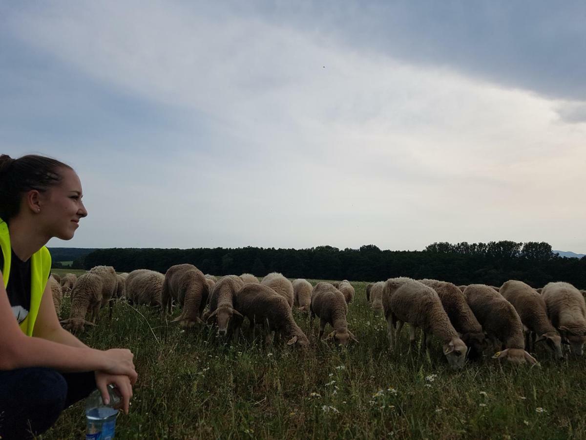 Bio Farma & Penzion Zlaty Hyl Novacany Экстерьер фото