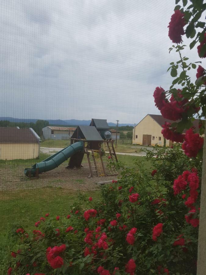 Bio Farma & Penzion Zlaty Hyl Novacany Экстерьер фото