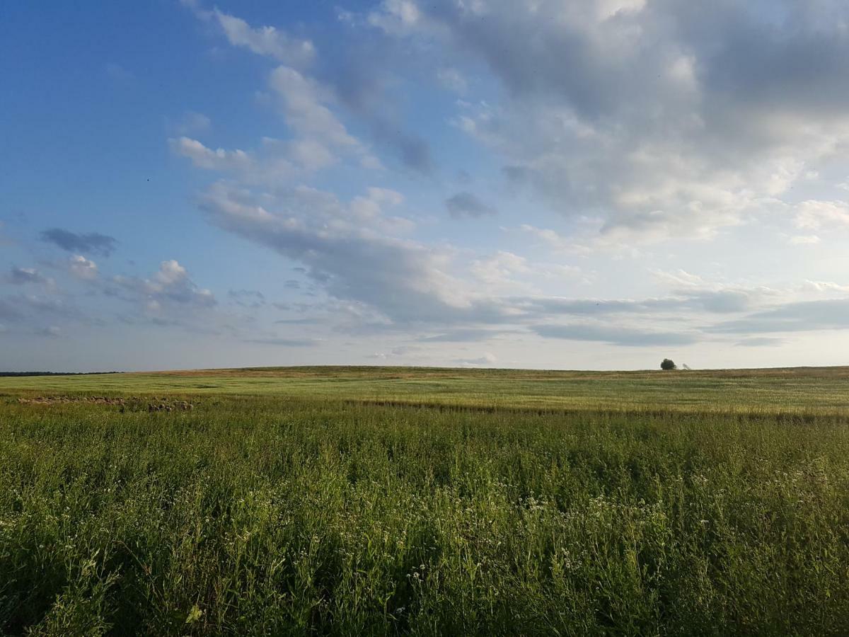 Bio Farma & Penzion Zlaty Hyl Novacany Экстерьер фото